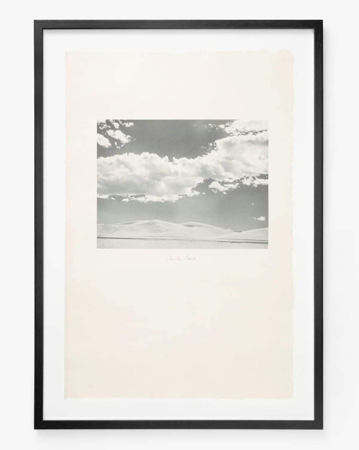 Santa Cruz|Visual Contrast Discount