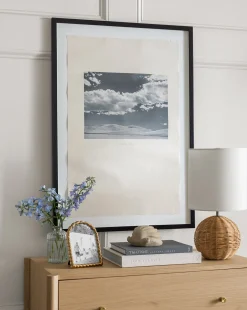 Santa Cruz|Visual Contrast Discount