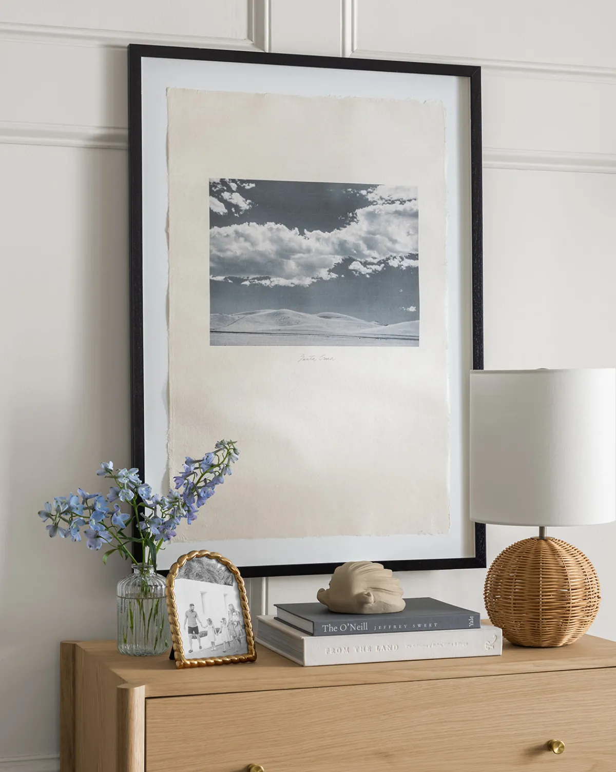 Santa Cruz|Visual Contrast Discount