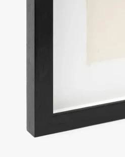 Santa Cruz|Visual Contrast Discount