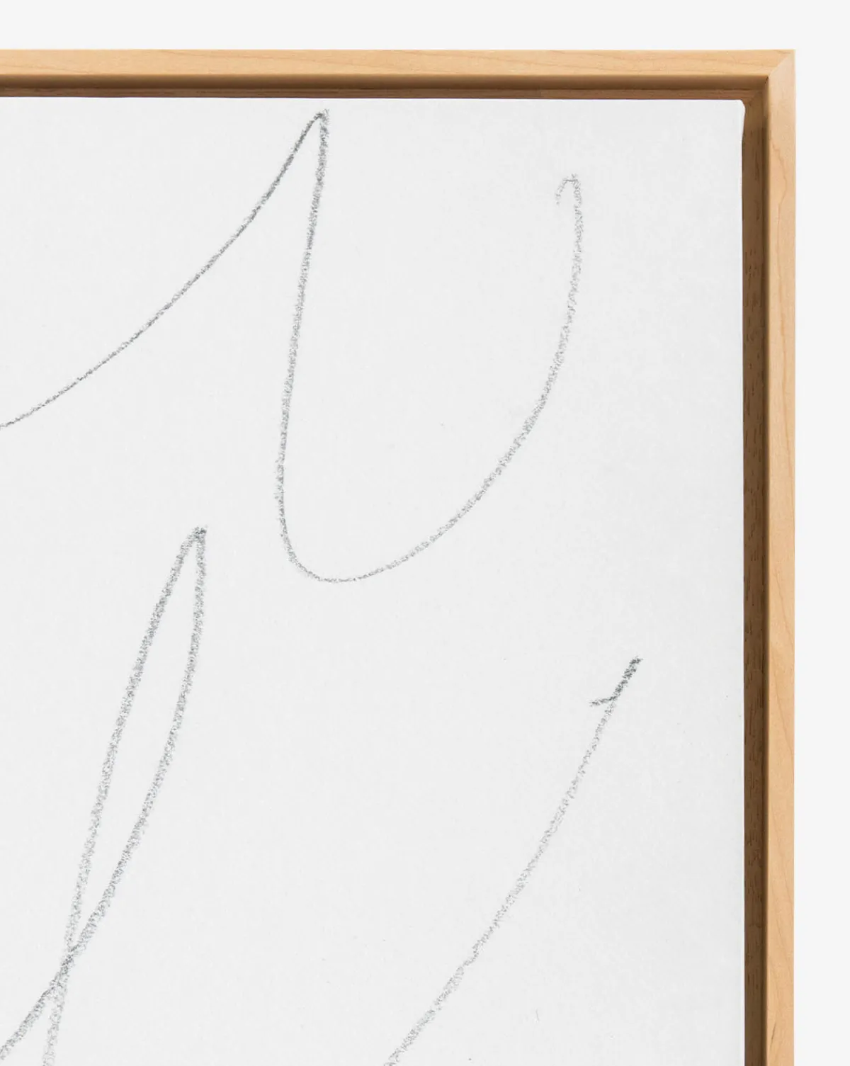 Scattered Thoughts|Visual Contrast Clearance