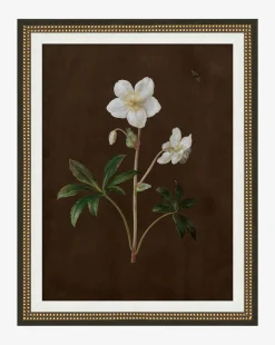 Sepia Sprouts II|Art Headquarters, LLC DBA Wendover Art Group DBA Kevin O'Brien Studio Sale