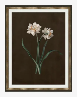 Sepia Sprouts III|Art Headquarters, LLC DBA Wendover Art Group DBA Kevin O'Brien Studio Clearance