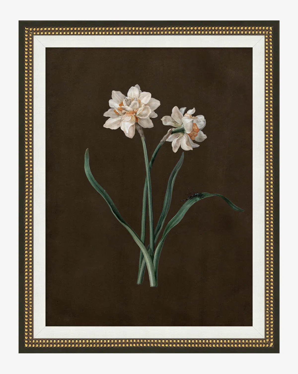 Sepia Sprouts III|Art Headquarters, LLC DBA Wendover Art Group DBA Kevin O'Brien Studio Clearance