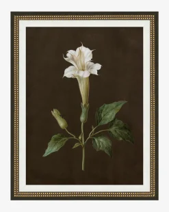 Sepia Sprouts IV|Art Headquarters, LLC DBA Wendover Art Group DBA Kevin O'Brien Studio Hot