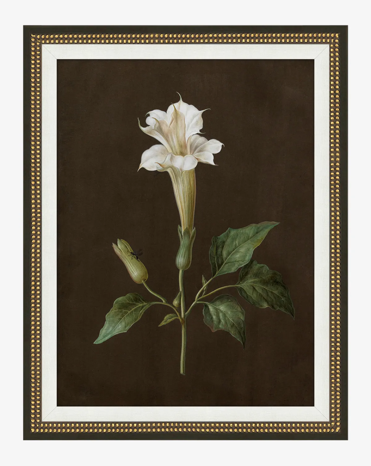 Sepia Sprouts IV|Art Headquarters, LLC DBA Wendover Art Group DBA Kevin O'Brien Studio Hot