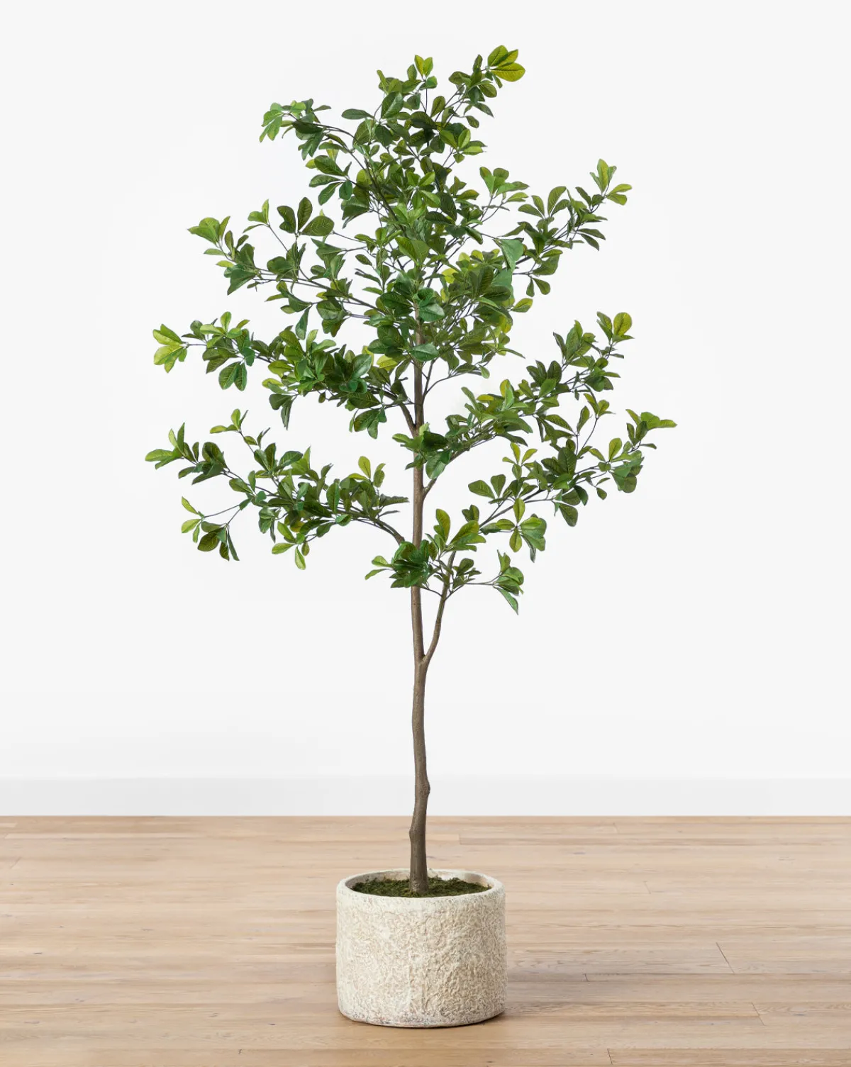 Shady Lady Faux Tree|UCP INTERNATIONAL COMPANY LIMITED Best