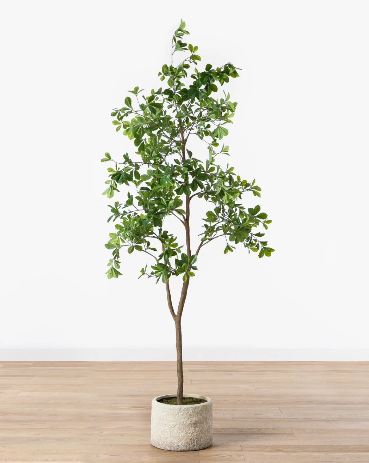 Shady Lady Faux Tree|UCP INTERNATIONAL COMPANY LIMITED Best