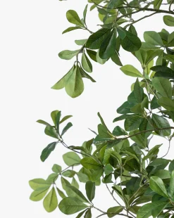 Shady Lady Faux Tree|UCP INTERNATIONAL COMPANY LIMITED Best