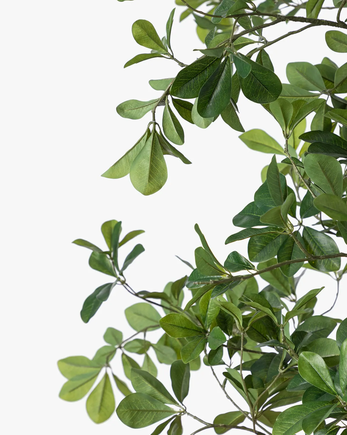 Shady Lady Faux Tree|UCP INTERNATIONAL COMPANY LIMITED Best