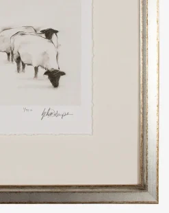 Sheep II|Shadow Catchers Clearance