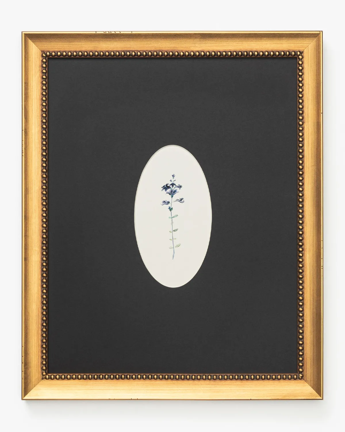 Single Blooms 3|Art Headquarters, LLC DBA Wendover Art Group DBA Kevin O'Brien Studio