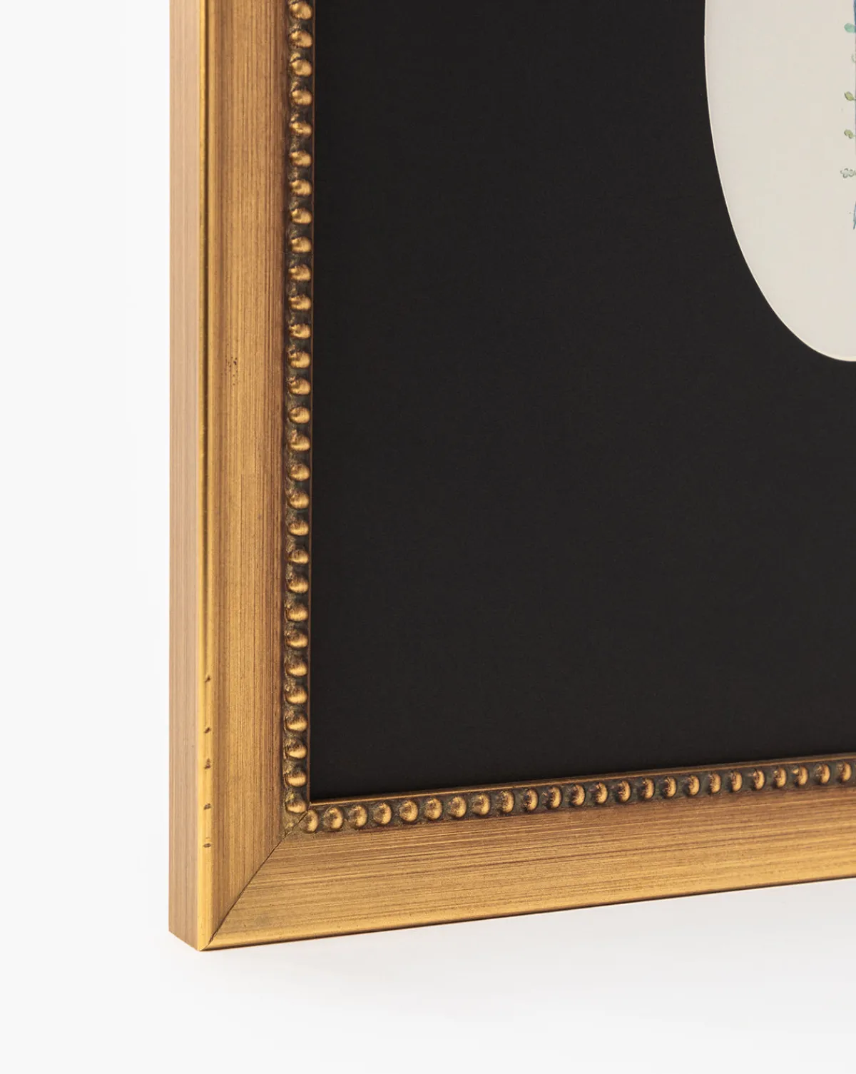 Single Blooms 3|Art Headquarters, LLC DBA Wendover Art Group DBA Kevin O'Brien Studio