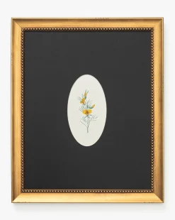 Single Blooms 1|Art Headquarters, LLC DBA Wendover Art Group DBA Kevin O'Brien Studio Clearance