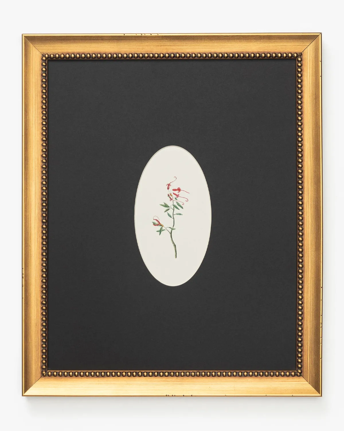 Single Blooms 2|Art Headquarters, LLC DBA Wendover Art Group DBA Kevin O'Brien Studio Hot