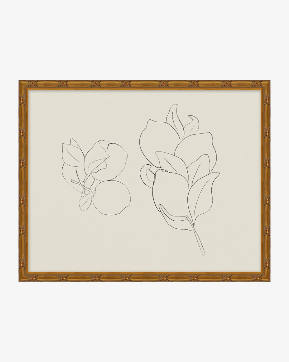 Sketched Fruit II|Art Headquarters, LLC DBA Wendover Art Group DBA Kevin O'Brien Studio New