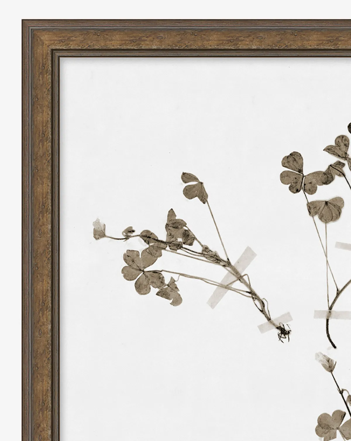 Subdued Botanicals I|Art Headquarters, LLC DBA Wendover Art Group DBA Kevin O'Brien Studio Best