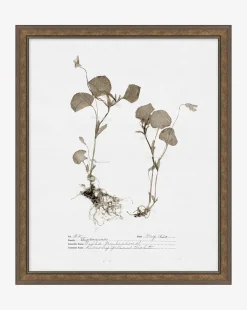 Subdued Botanicals II|Art Headquarters, LLC DBA Wendover Art Group DBA Kevin O'Brien Studio