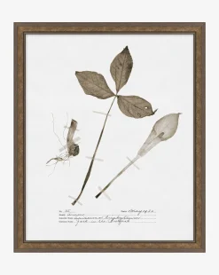 Subdued Botanicals III|Art Headquarters, LLC DBA Wendover Art Group DBA Kevin O'Brien Studio New