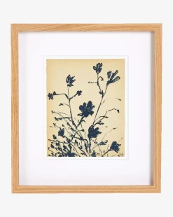 Summer Weed by Shaina Page|Four Hands New