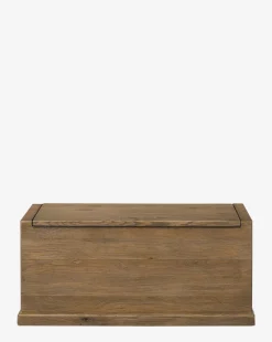 Sutton Trunk|Four Hands Discount