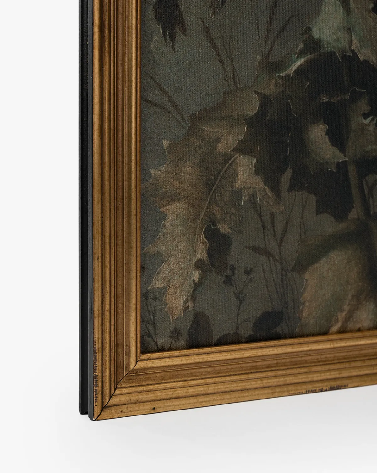 Thistle Down|Art Headquarters, LLC DBA Wendover Art Group DBA Kevin O'Brien Studio Online