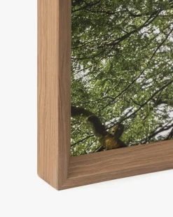 Treetops|Art Headquarters, LLC DBA Wendover Art Group DBA Kevin O'Brien Studio Hot