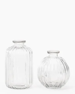 Verlice Glass Cylinder Vase|Transparent Overseas Discount