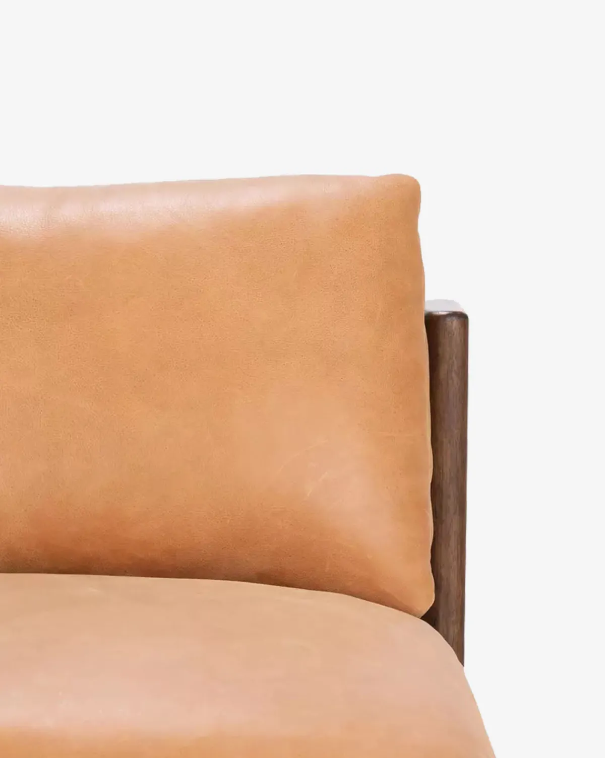 Vevina Lounge Chair|McGee & Co.